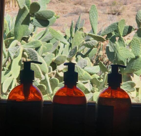 Bed & Breakfast Terra   Casa De Campo