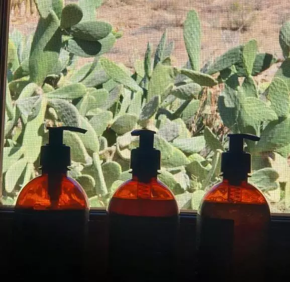 Aamiaismajoitus (B&B) Terra   Casa De Campo