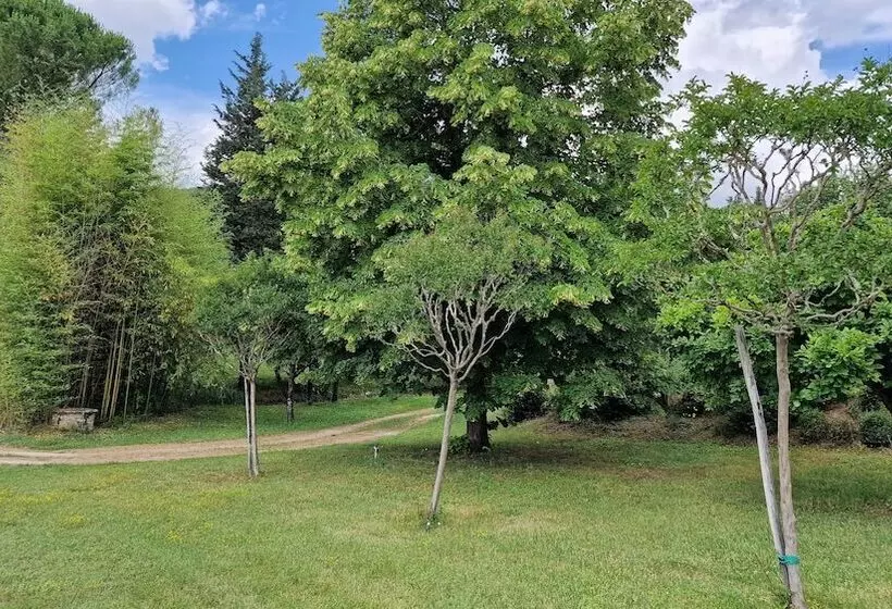 La Corte Del Chianti Classico