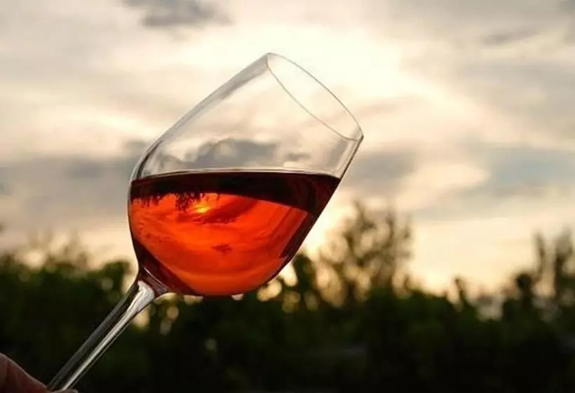 La Corte Del Chianti Classico