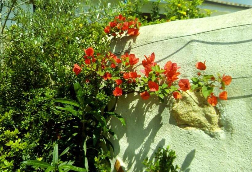 ホテル Matta E Sole