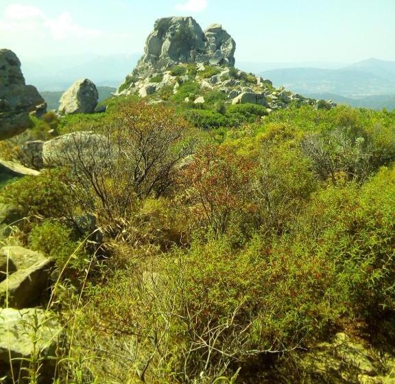 ホテル Matta E Sole