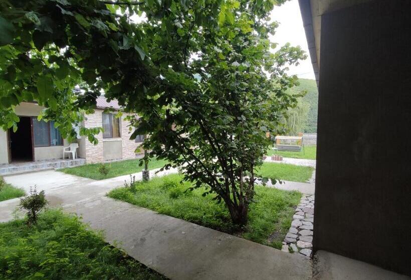 پانسیون Ananuri Cottages