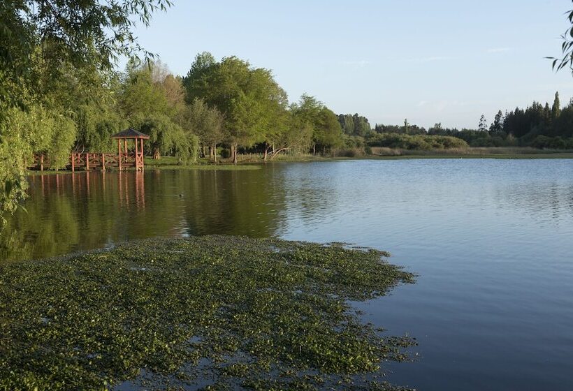 酒店 Y Cabañas Las Mellizas   Caja Los Andes