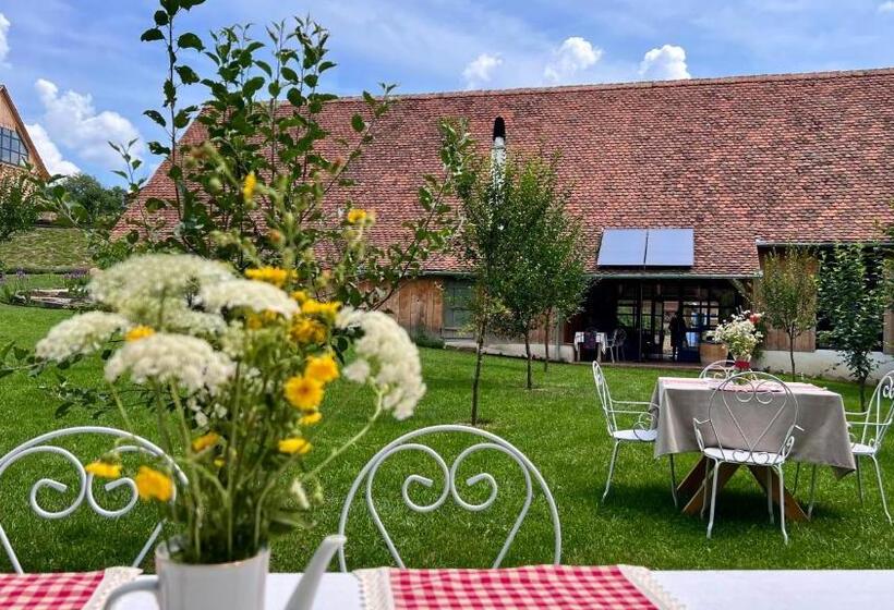 אתר נופש Gospodaria Cobor Adults Only