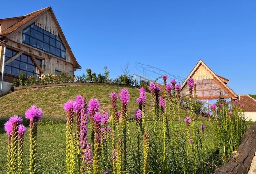 אתר נופש Gospodaria Cobor Adults Only