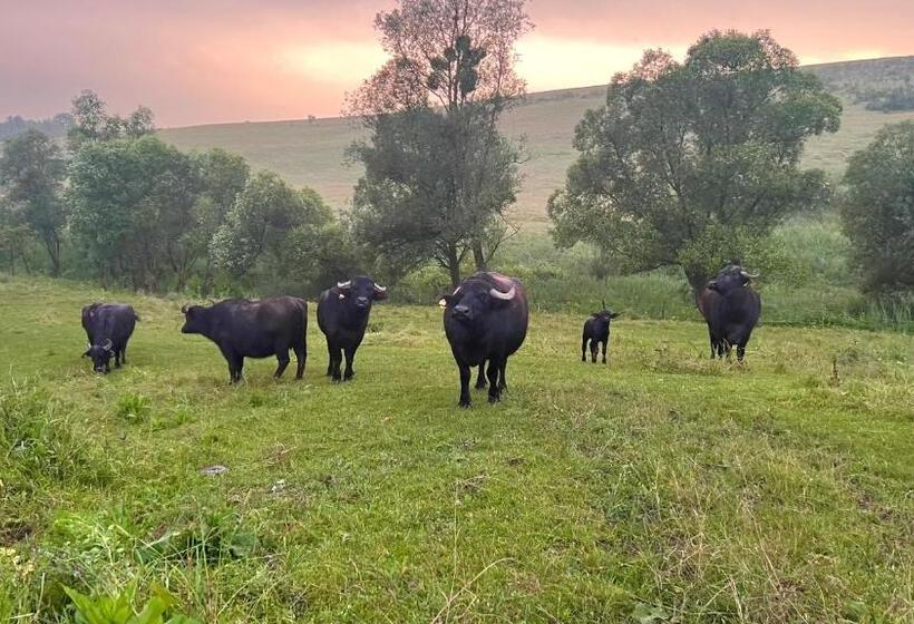 אתר נופש Gospodaria Cobor Adults Only