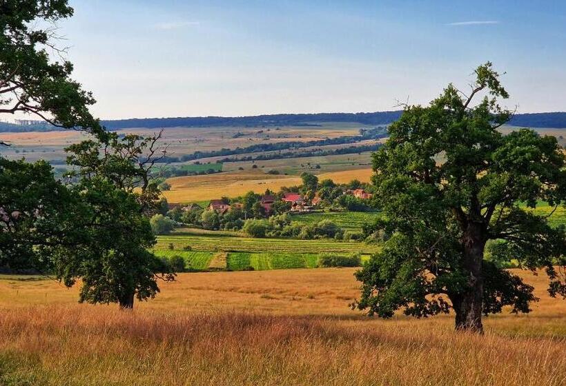 אתר נופש Gospodaria Cobor Adults Only