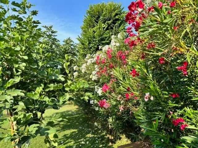 B&b La Casa Del Barbiere