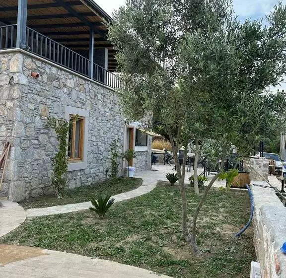Aamiaismajoitus (B&B) 7011 Dadya Rooms