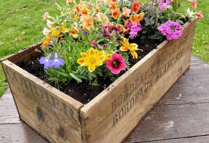 ベッドアンドブレックファースト Il Posto Al Sole