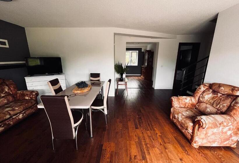 بنسيون Casa Visurilor