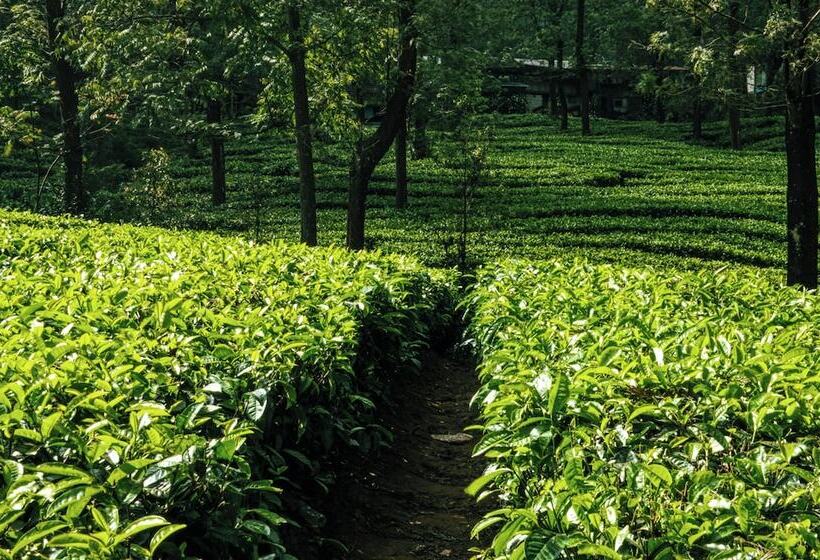 בית מלון כפרי Dhauladhar Heights Resort