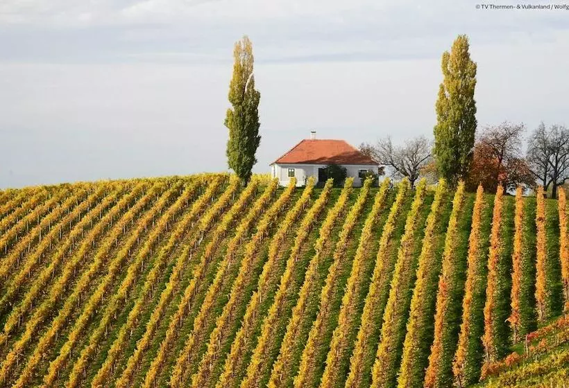 Jufa Hotel Bad Radkersburg   Inkl 4h Thermeneintritt In Parktherme