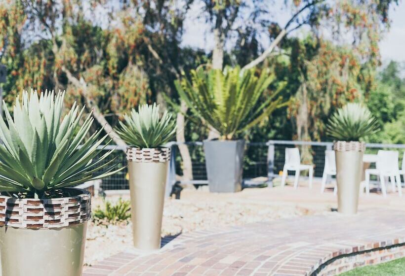 ベッドアンドブレックファースト B And B Sandton