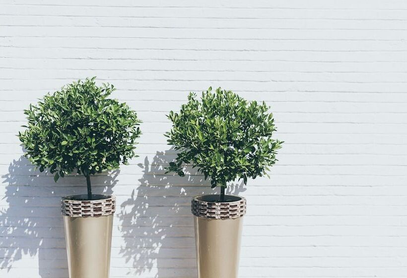 ベッドアンドブレックファースト B And B Sandton