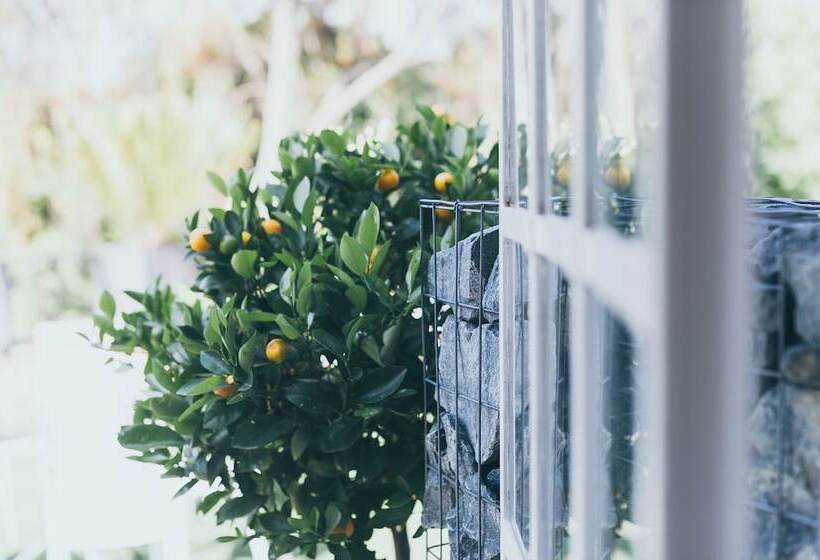 ベッドアンドブレックファースト B And B Sandton