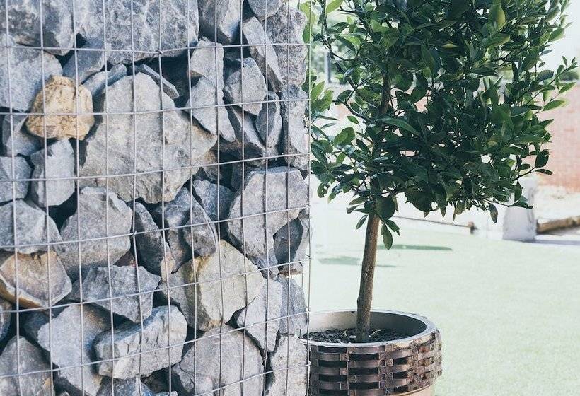 ベッドアンドブレックファースト B And B Sandton