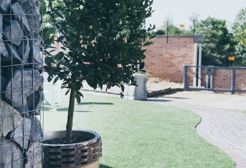 ベッドアンドブレックファースト B And B Sandton