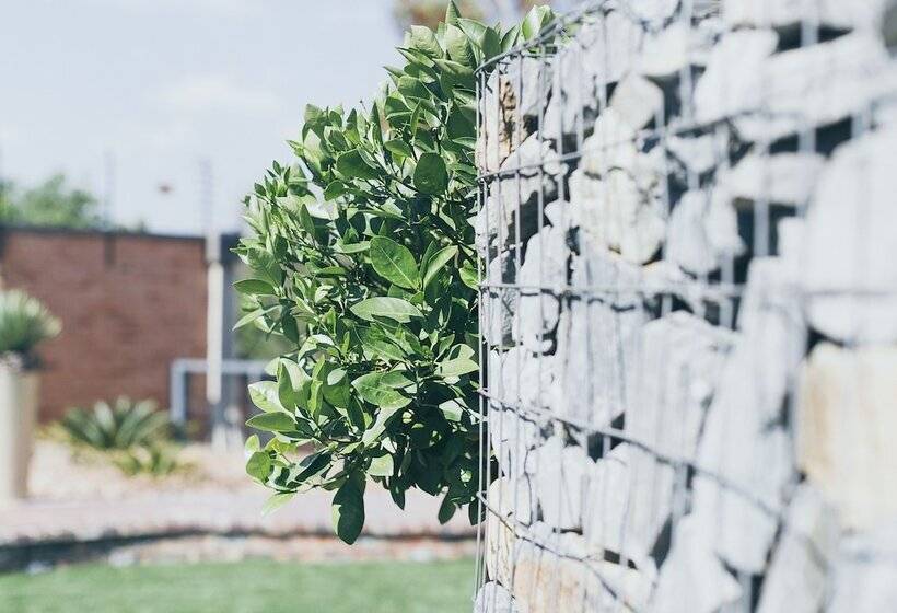 ベッドアンドブレックファースト B And B Sandton