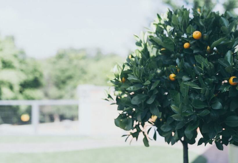 ベッドアンドブレックファースト B And B Sandton