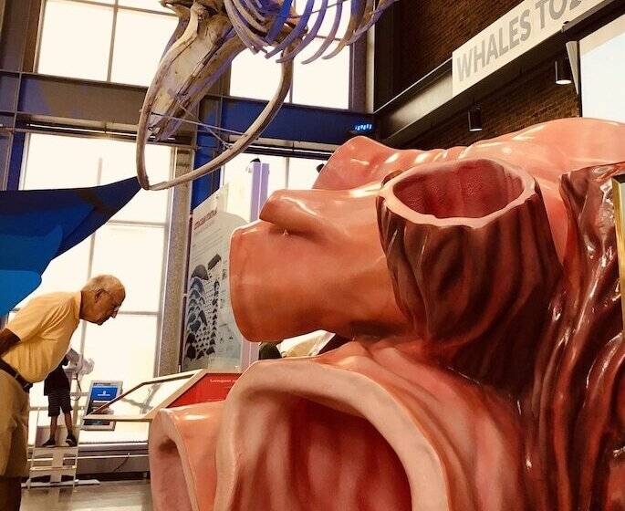 Bed and Breakfast Frederick William House