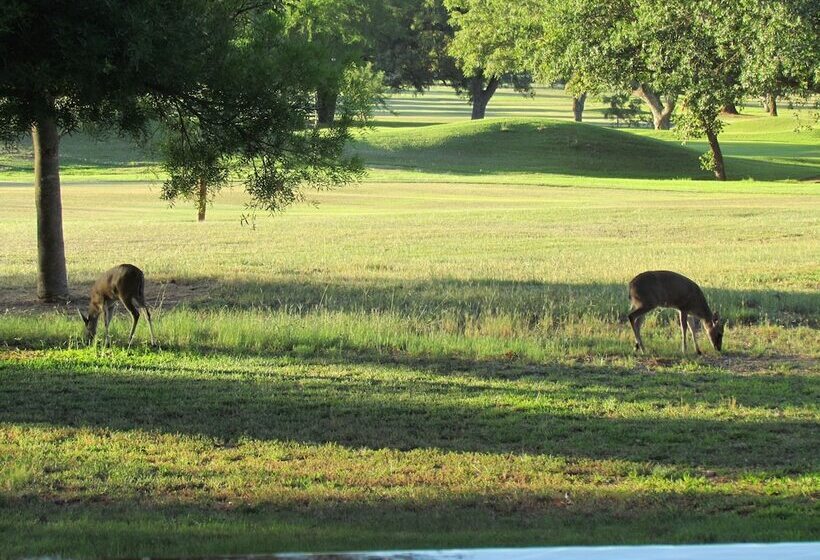 צימר Matumi Golf Lodge