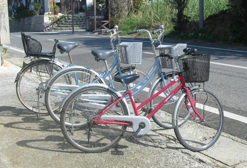 Отель Minshuku Myojoso