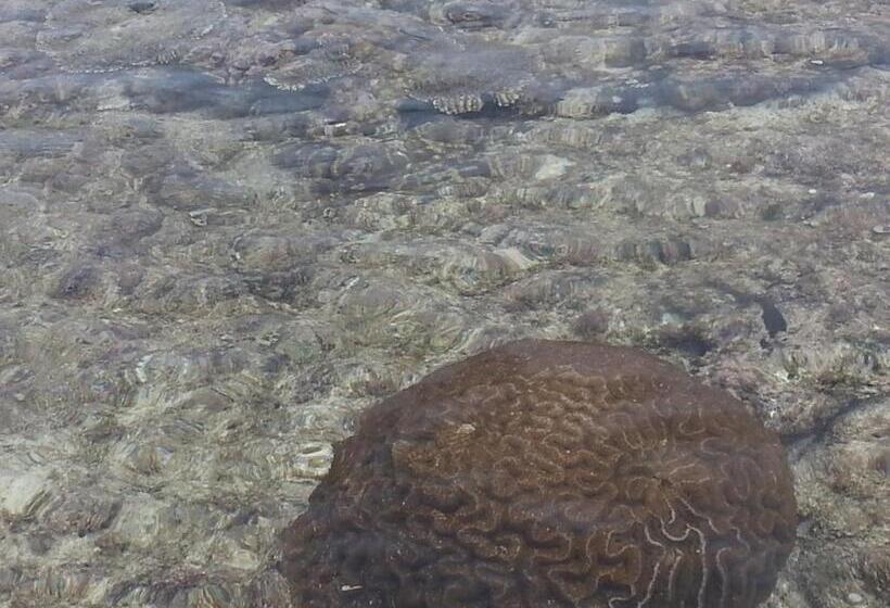 Отель Minshuku Myojoso