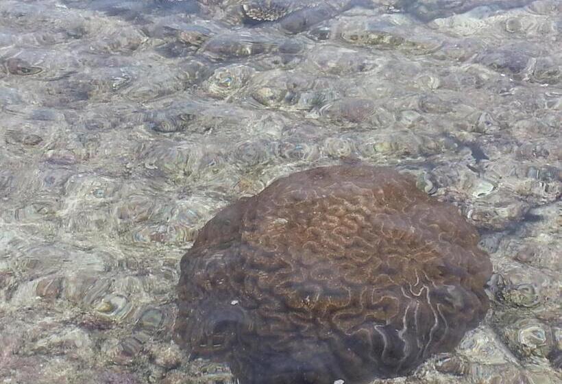 Отель Minshuku Myojoso