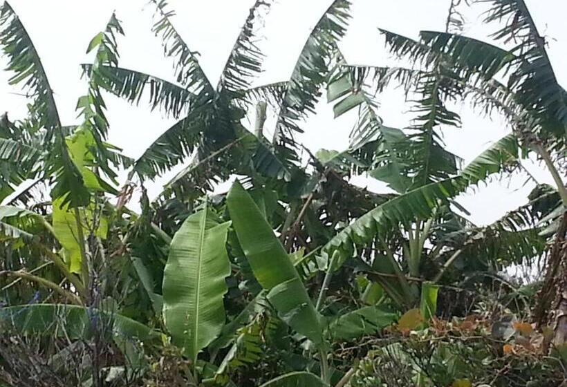 Отель Minshuku Myojoso