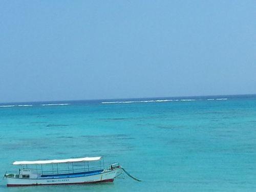 Отель Minshuku Myojoso