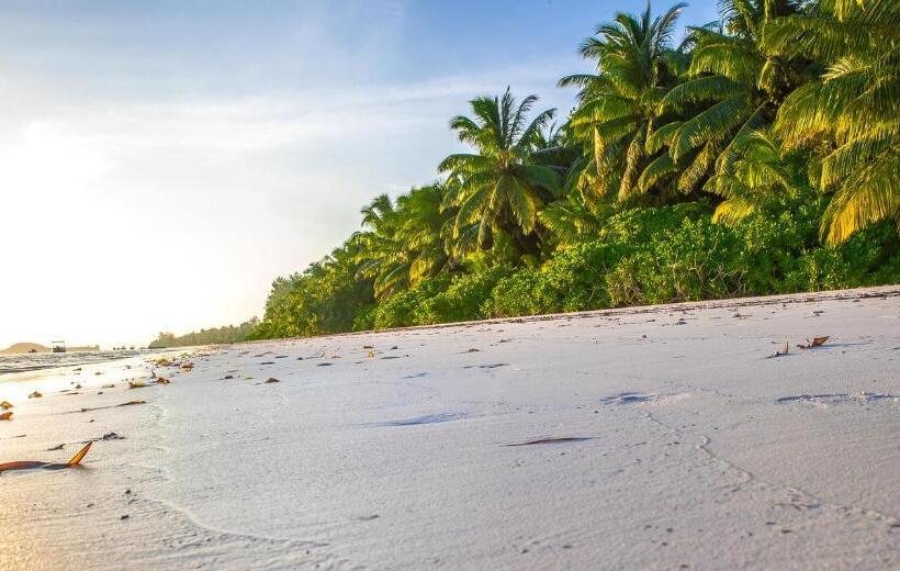 Oasis Hotel Restaurant & Spa