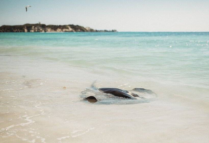 Margaret River Holiday Cottages