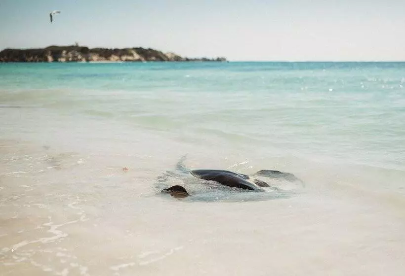 Margaret River Holiday Cottages