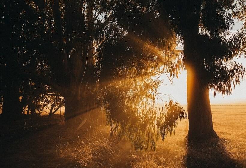 Margaret River Holiday Cottages