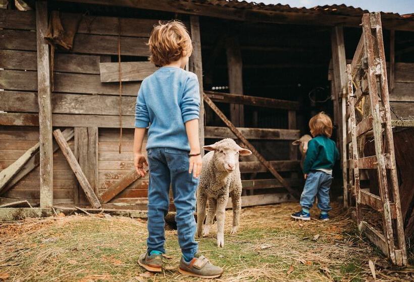 Margaret River Holiday Cottages