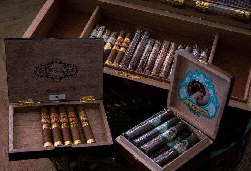 هتل Jetty Montreux