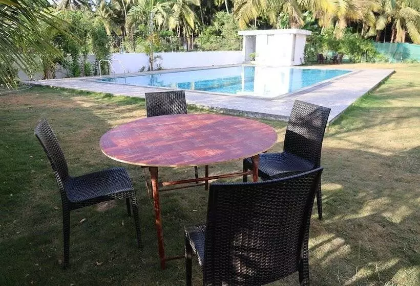 Hotelli The Bliss Palm