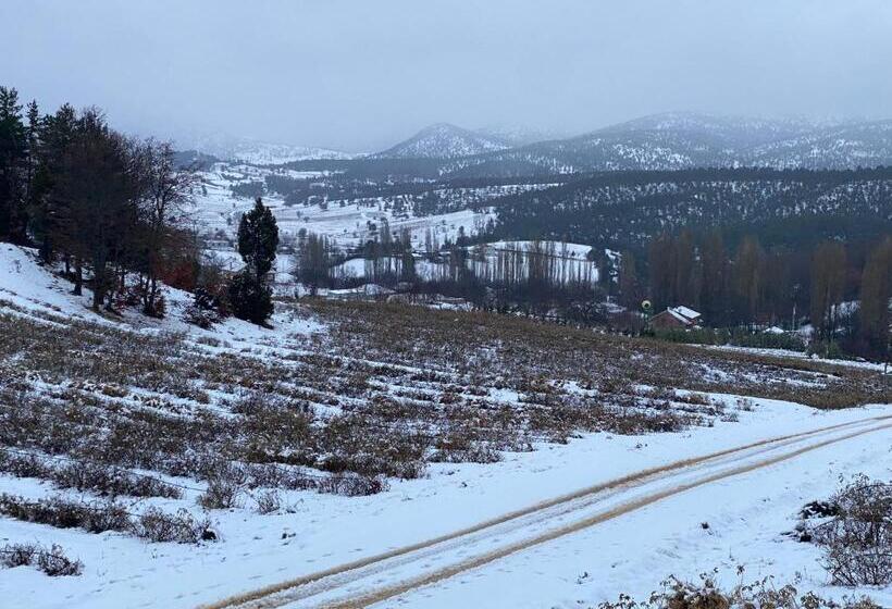 La Vie En Rose Hotel By Sogutdagi Isparta