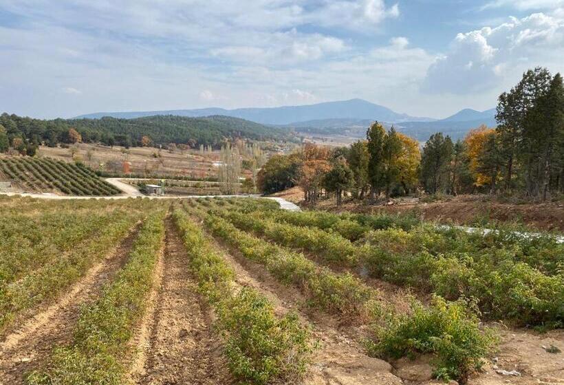 La Vie En Rose Hotel By Sogutdagi Isparta