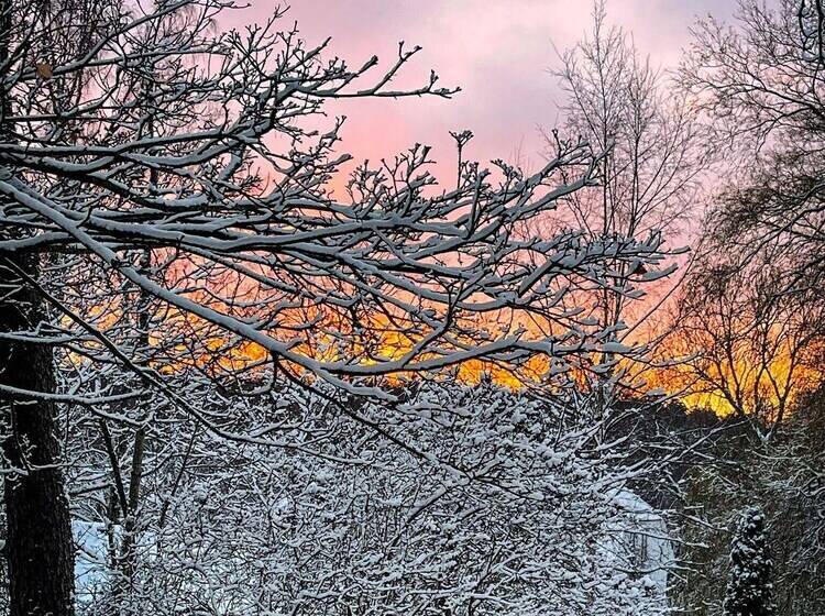 Engø Gård Hotel & Restaurant