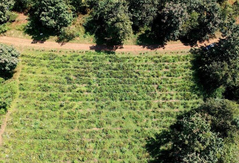 ホテル The Farm Retreat