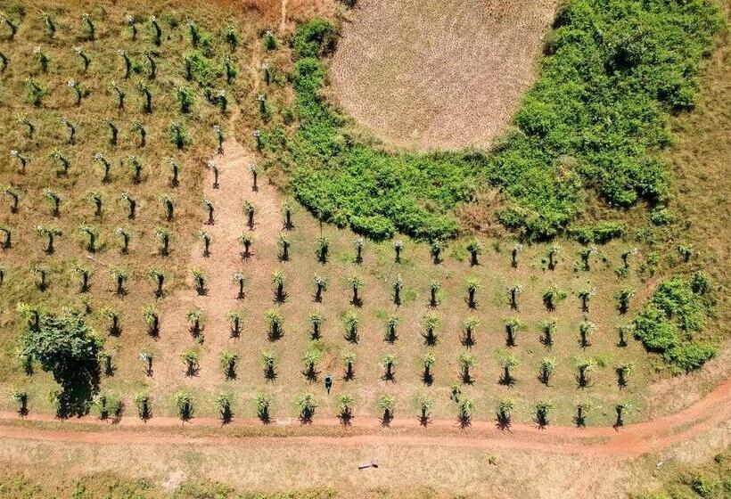 ホテル The Farm Retreat