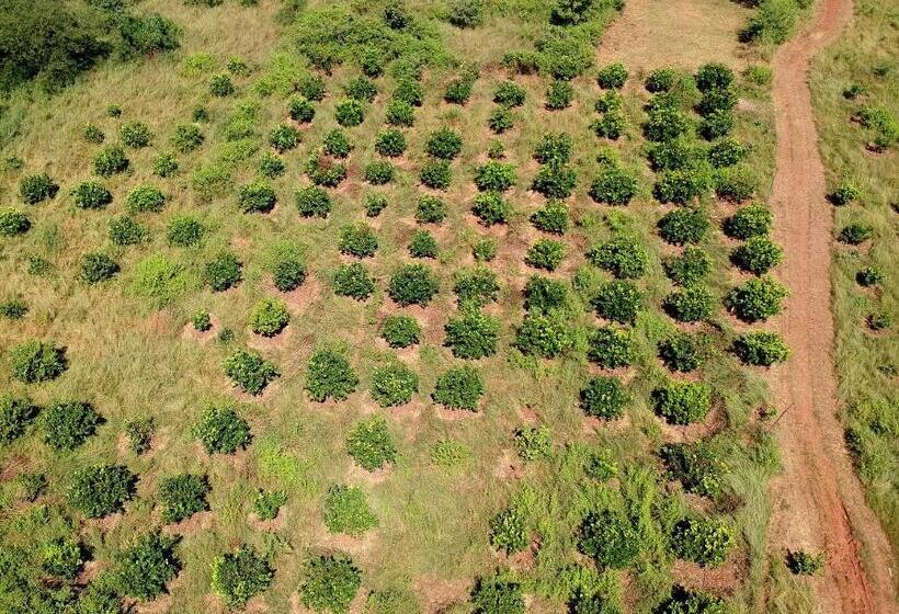 ホテル The Farm Retreat