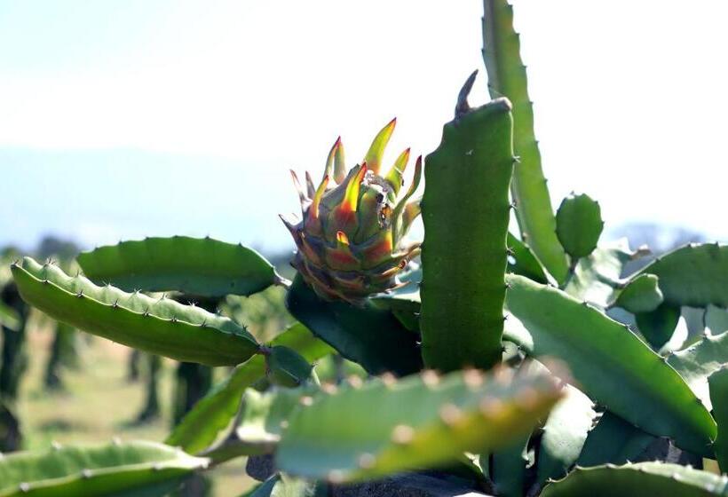 ホテル The Farm Retreat