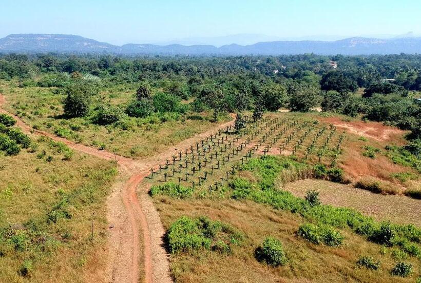 ホテル The Farm Retreat