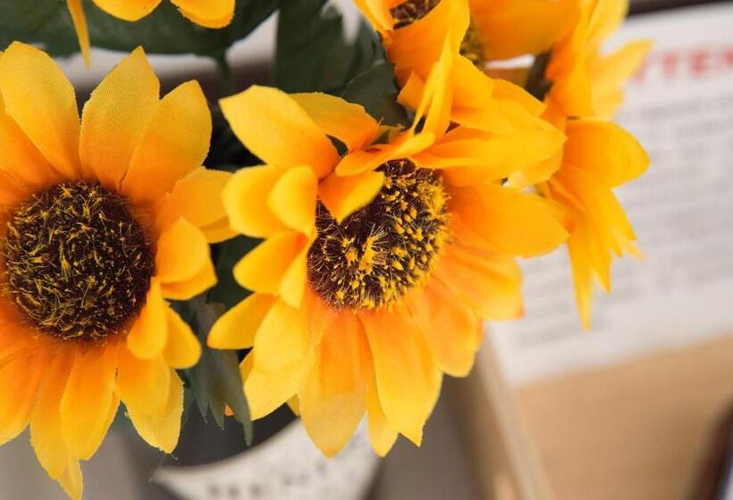 پانسیون Tre Sestieri Terrace   Canal View 2024