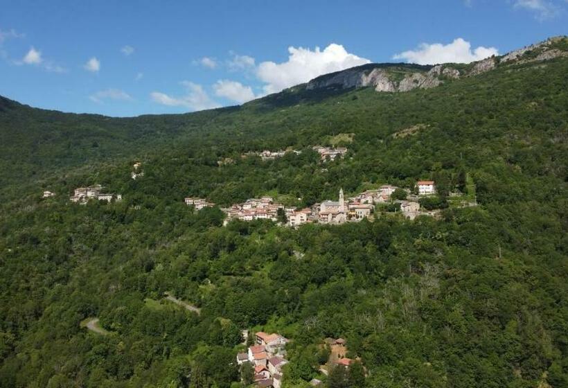 Green Point Pennavaire