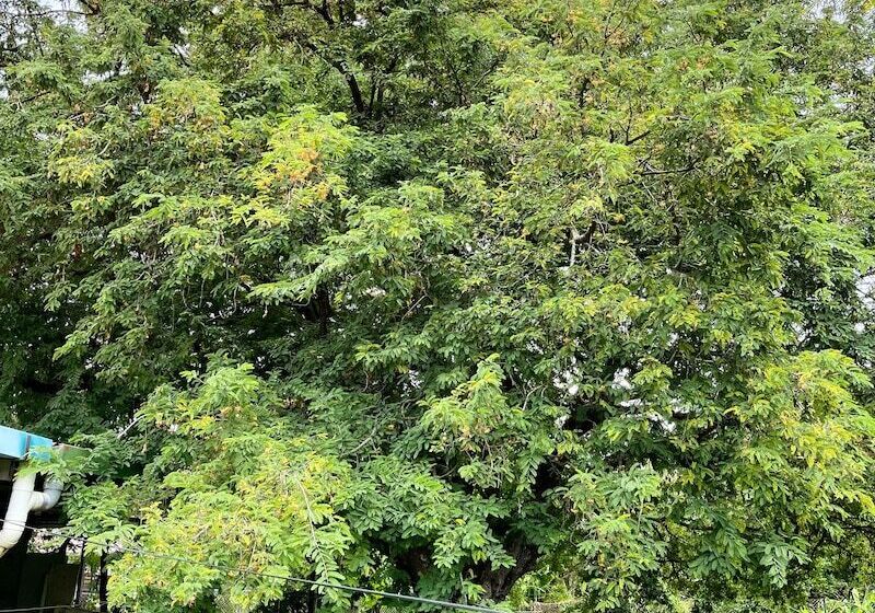 펜션 Voyager Int L Hostel Panama La Villa